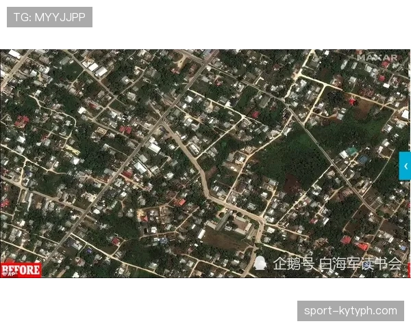 楚阿梅尼与坎特扫荡能力及覆盖范围对比分析 楚阿梅尼与坎特扫荡能力及覆盖范围对比分析
